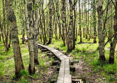 Omakielinen työhönvalmennus maahanmuuttaneille, Etelä-Karjala